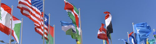 Image representing flags of the nations of the world