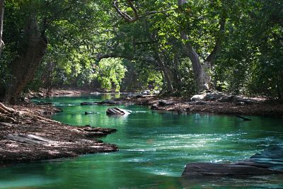 body-of-water-between-green-leaf-trees-709552_opt